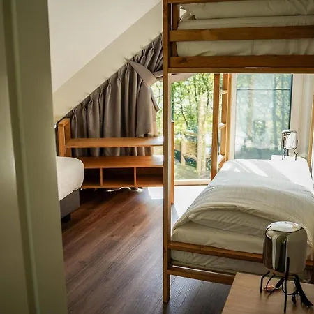 Veluwe Met Binnenzwembad & Wellness - 12 Personen Villa *