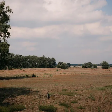 Veluwe Met Wellness En Binnenzwembad *
