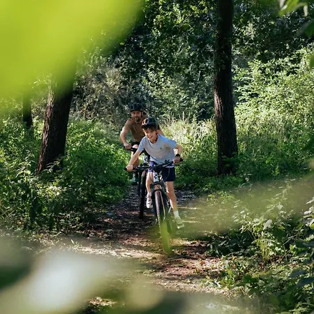 Holiday park Veluwe Met Wellness En Binnenzwembad Wekerom