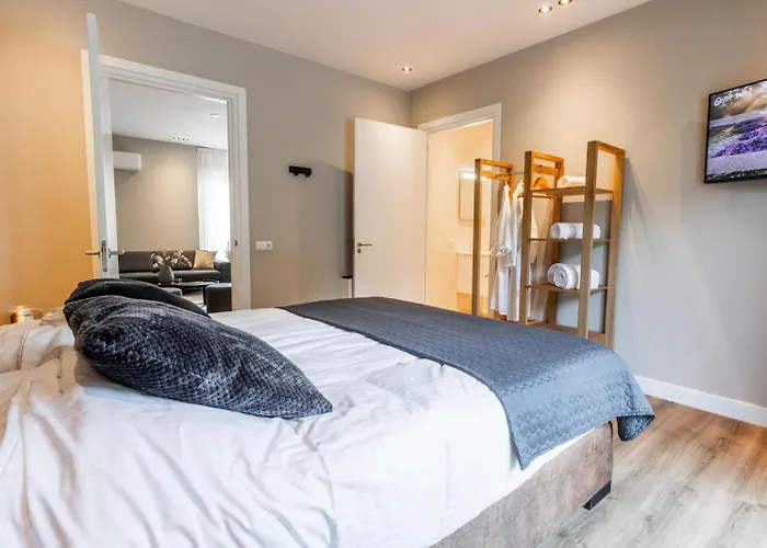 Vila Veluwe Met Binnenzwembad & Wellness - 12 Personen - Valley