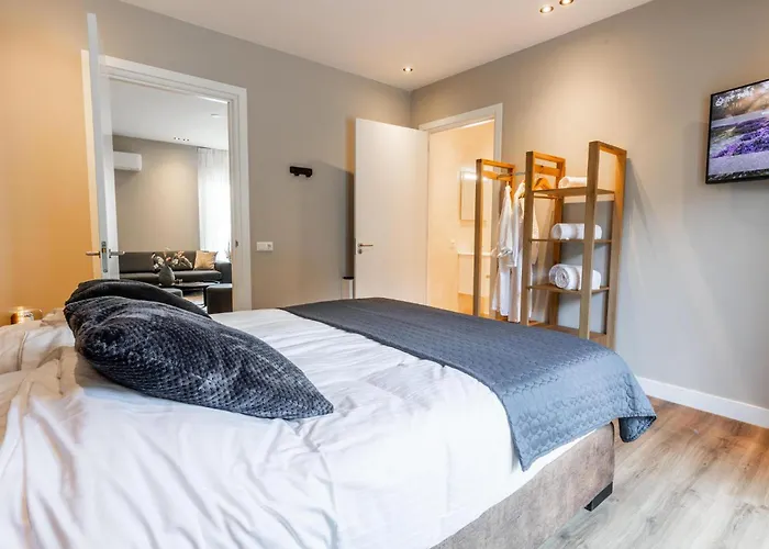 Vila Veluwe Met Binnenzwembad & Wellness - 12 Personen - Valley *